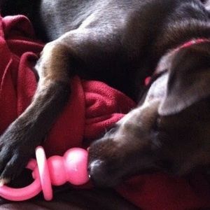 Meet your Posher, Andrea